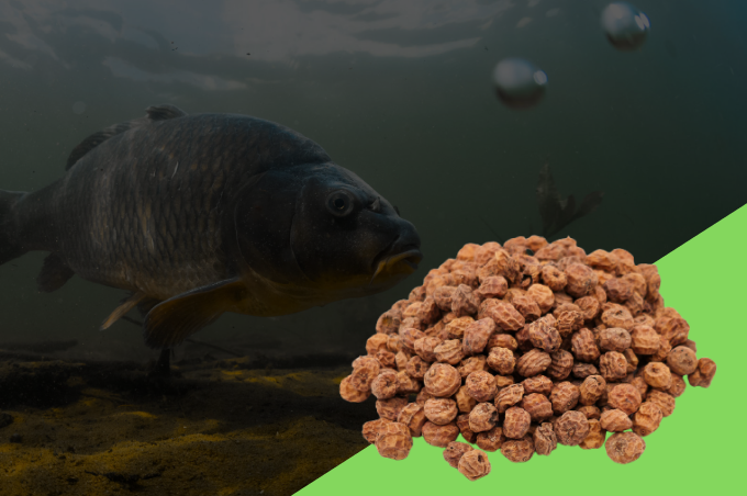 Nova Carp Baits | novacarpbaits.hu