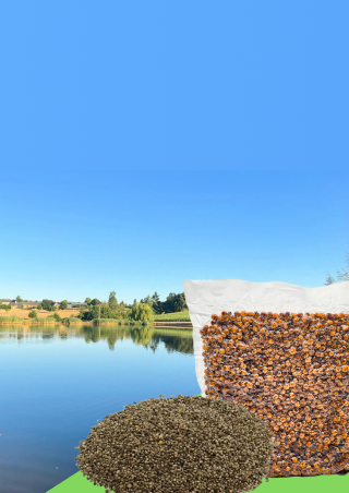 Nova Carp Baits | novacarpbaits.hu