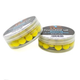 Rodin (A Gondolkodó)